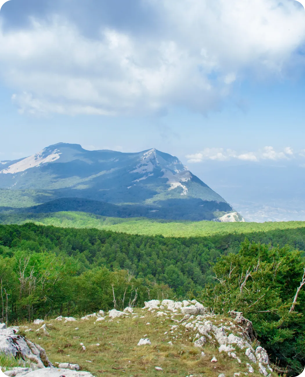 Ospitalità meditativa e soggiorno consapevole Ospitalità meditativa e soggiorno consapevole