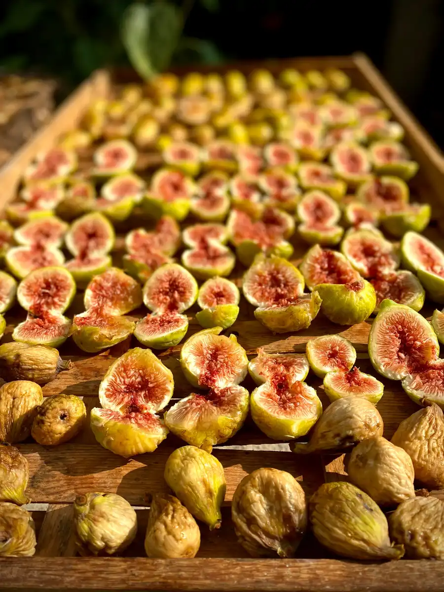 Il Cilento Il Cilento